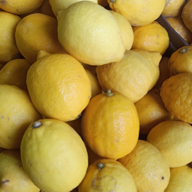 

Lemon import