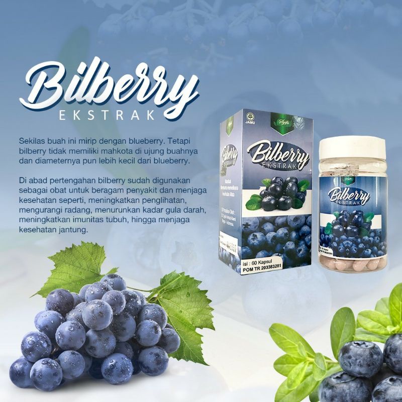 Ekstrak Buah Bilberry Extract 60 Kapsul