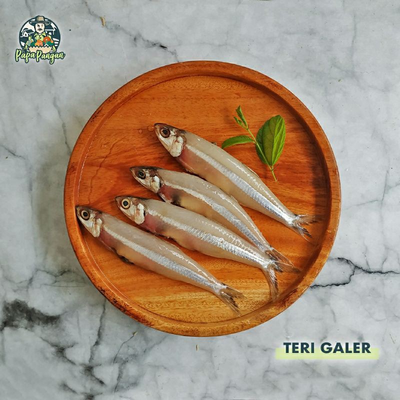 

Teri Galer Fresh Papapangan - 100 gram