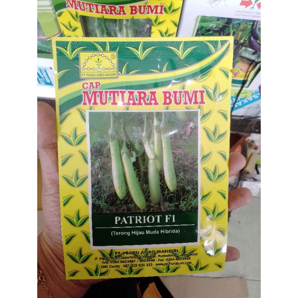 Benih Terong hijau/Terong ijo/Benih sayuran Patriot F1