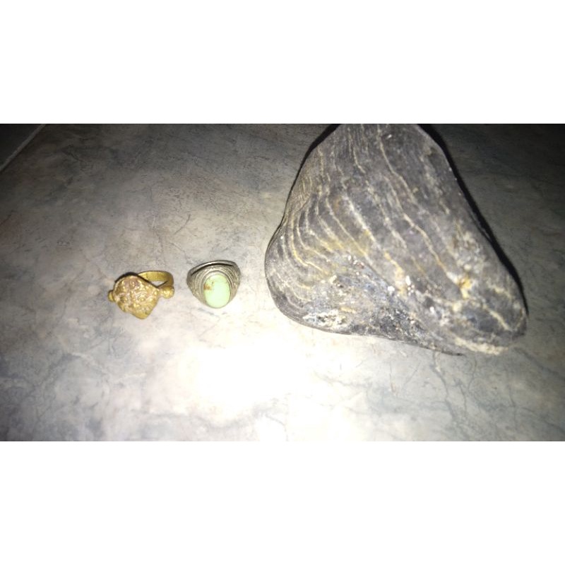 cincin dan batu fosil kelor