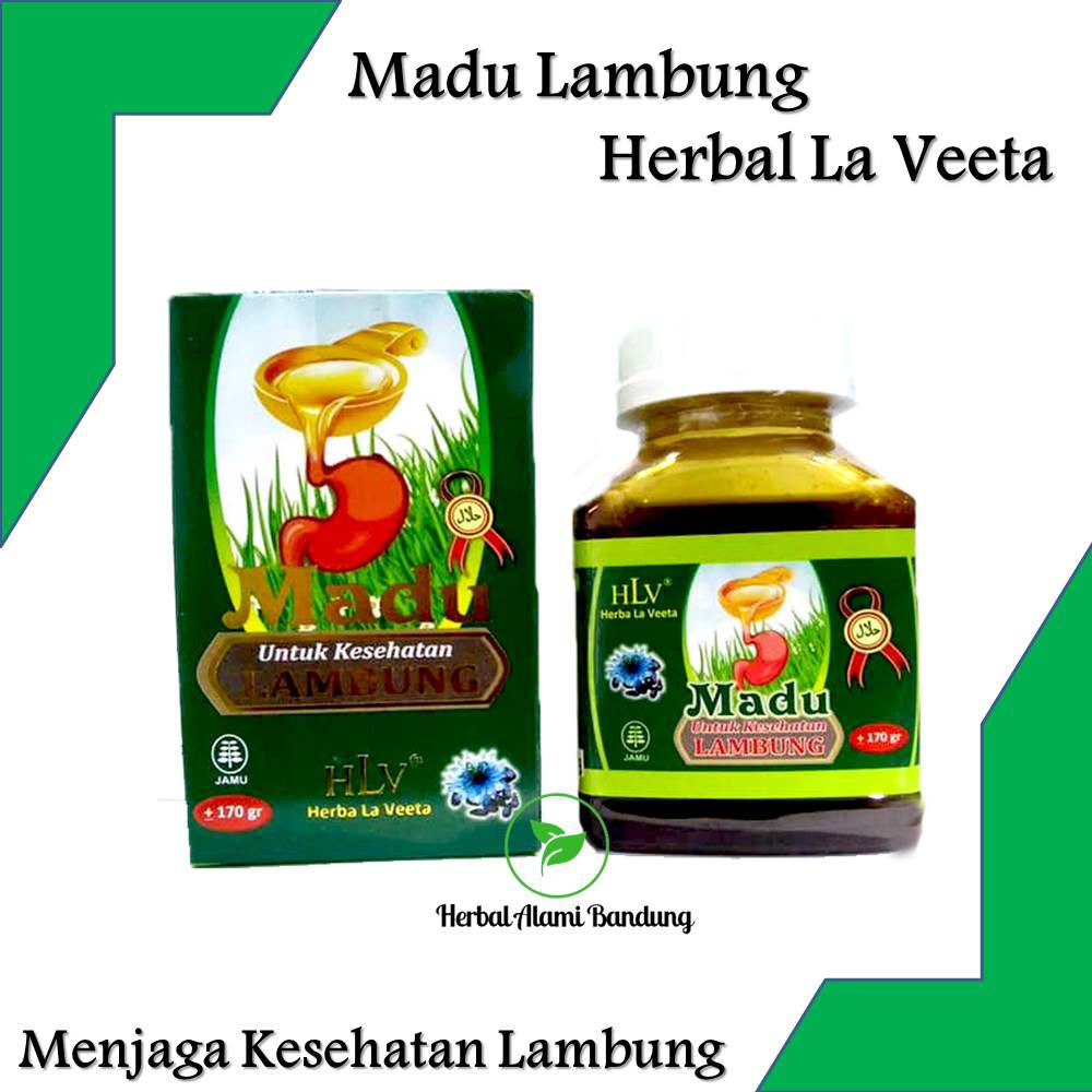 Madu Lambung HLV Herbal Lambung Madu Maag Madu Pencernaan ORIGINAl Termurah