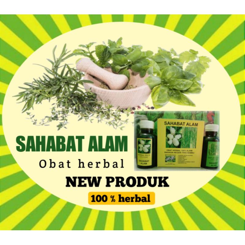 

Ramuan Herbal rebung bambu dan buah mengkudu