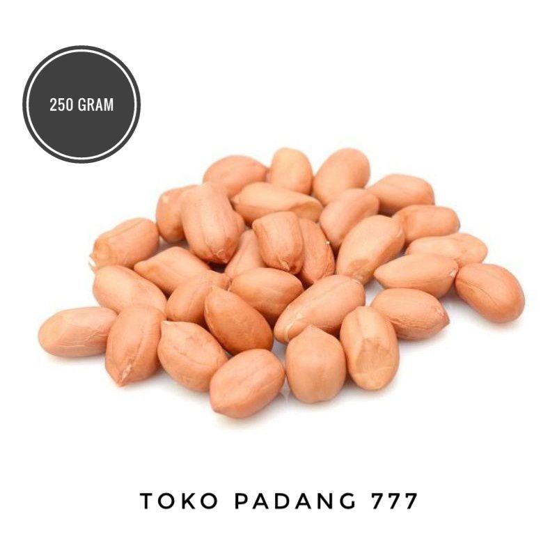 

Kacang Tanah