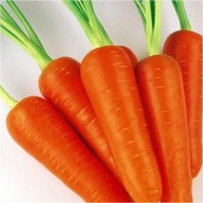 

Wortel Import / 500gr #Segar#Online#Bandung#Cimahi