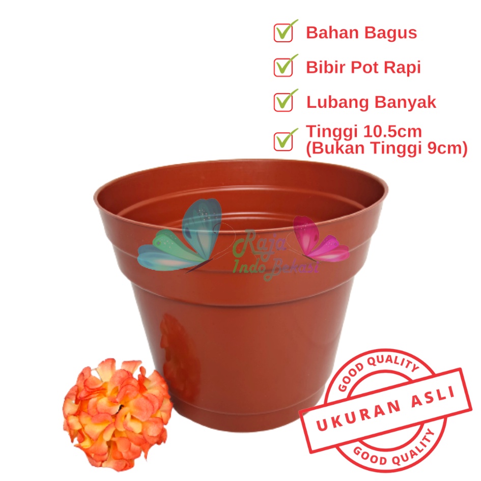 Pot 12 Cm Merah BataTerracota Terracotta Merah Coklat Polos - Pot 12 Hitam Kecil Mini Minimalis Plastik Kaktus Sukulen Mini Murah Pot Bibit Pembibitan