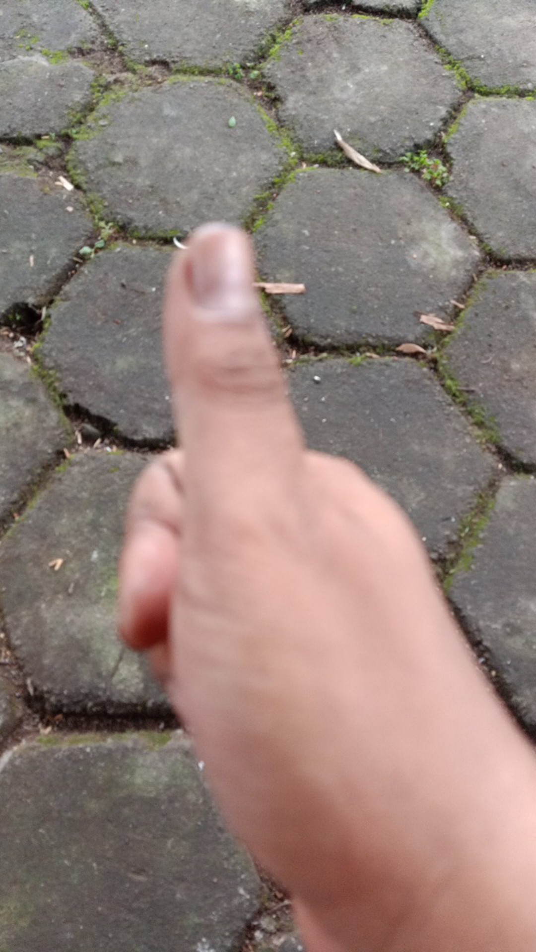 Magnet Sheet Lembaran 60x50cm Tebal 1mm