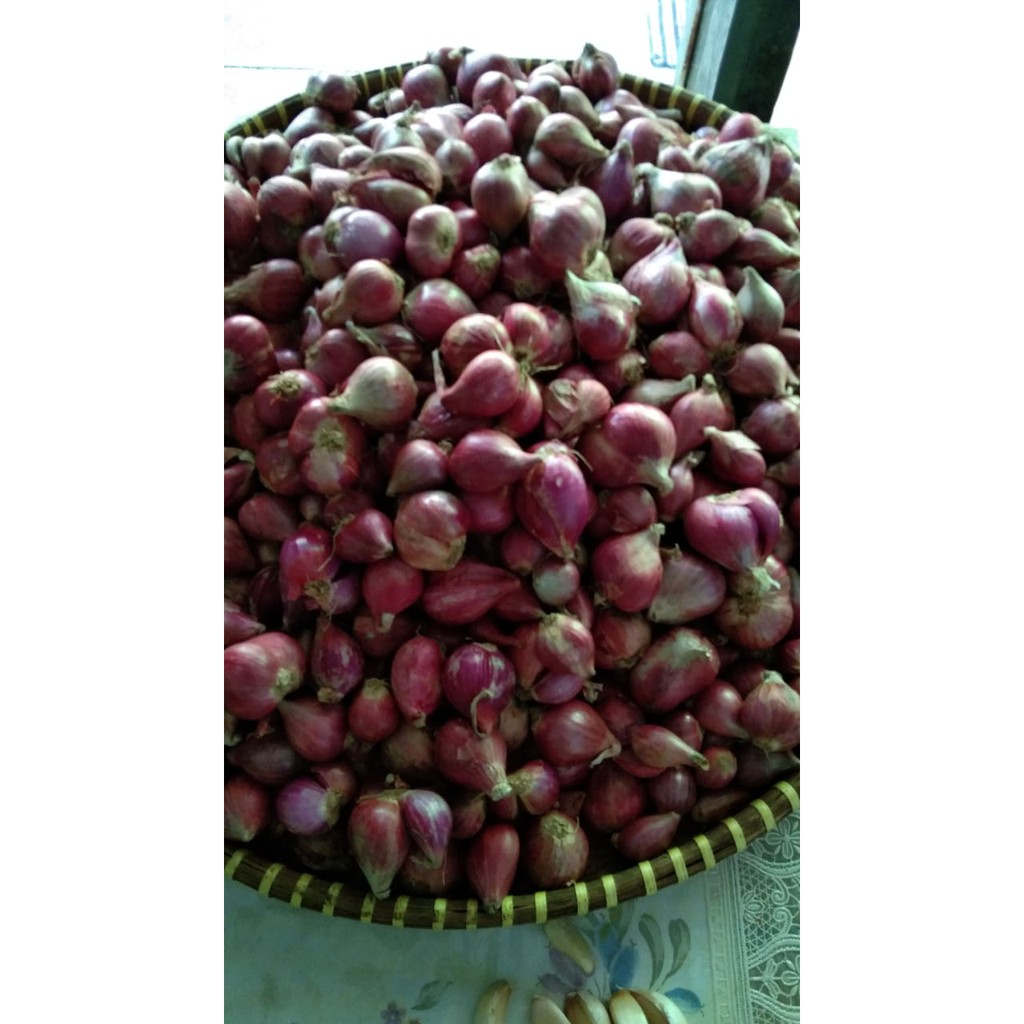 

Bawang Merah