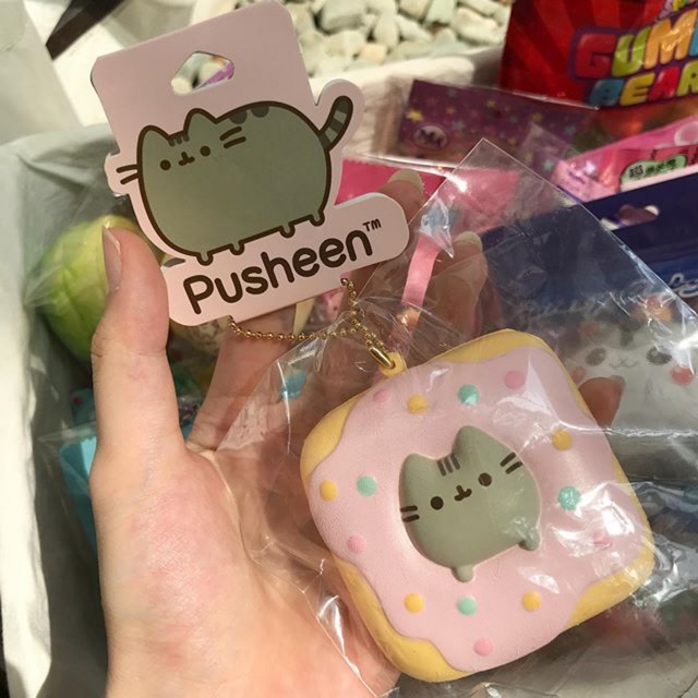 pusheen donut squishy