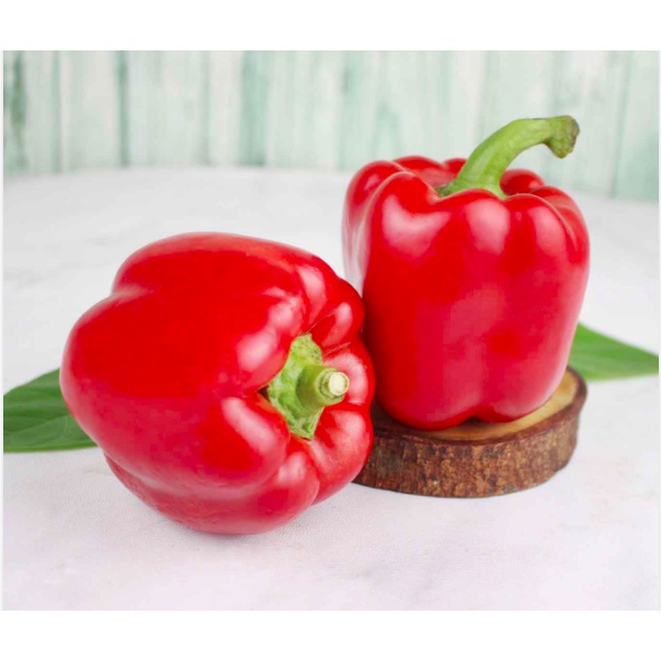 

ANEKA PAPRIKA MERAH PAPRIKA KUNING PAPRIKA HIJAU