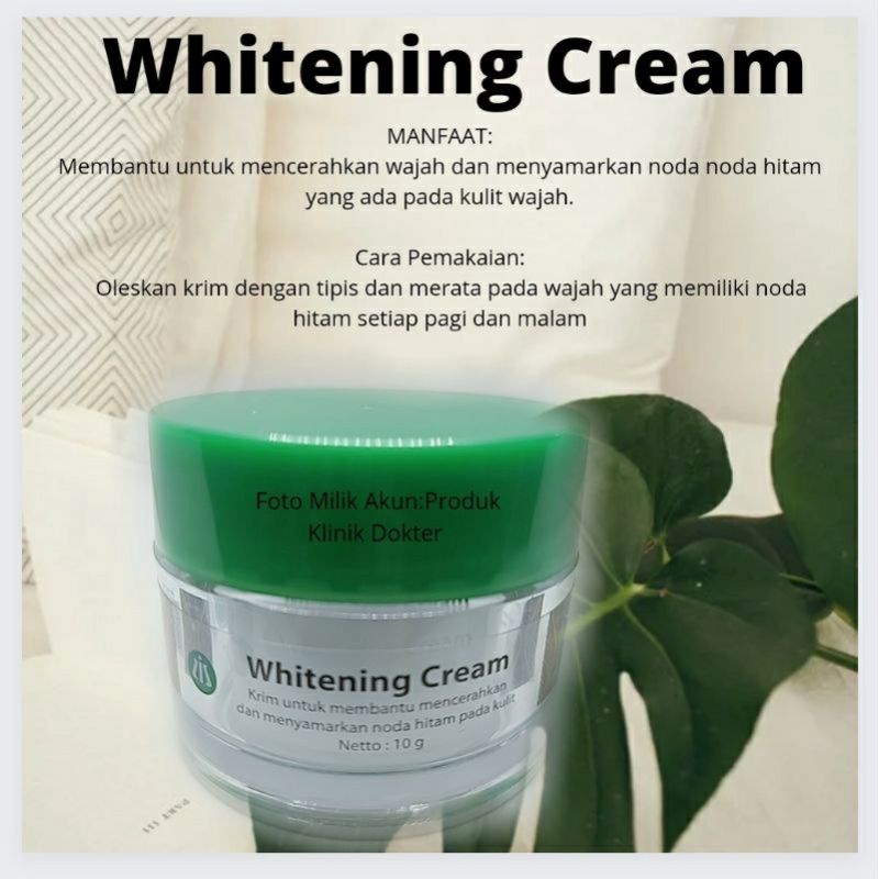 crem pencerah wajah/crem pemutih wajah/LIZ SKIN BPOM