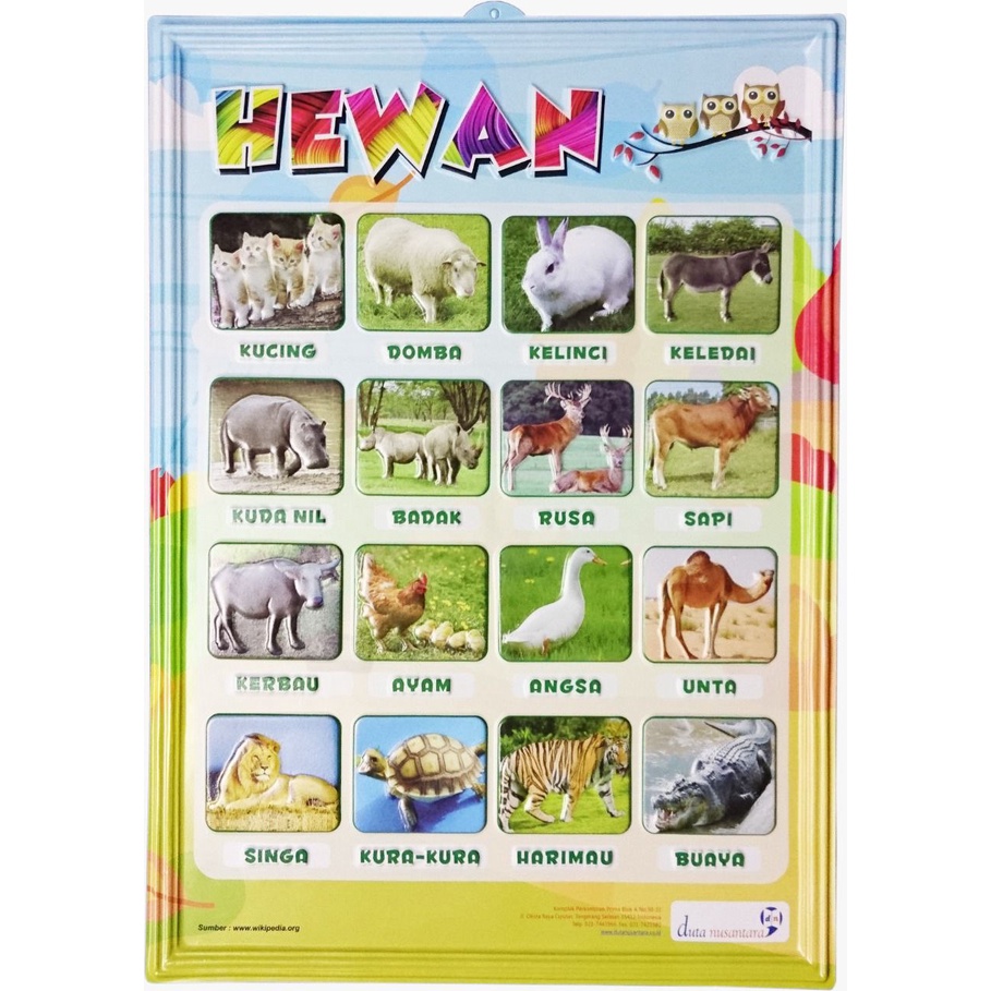 Jual Poster 3 Dimensi - Hewan | Shopee Indonesia