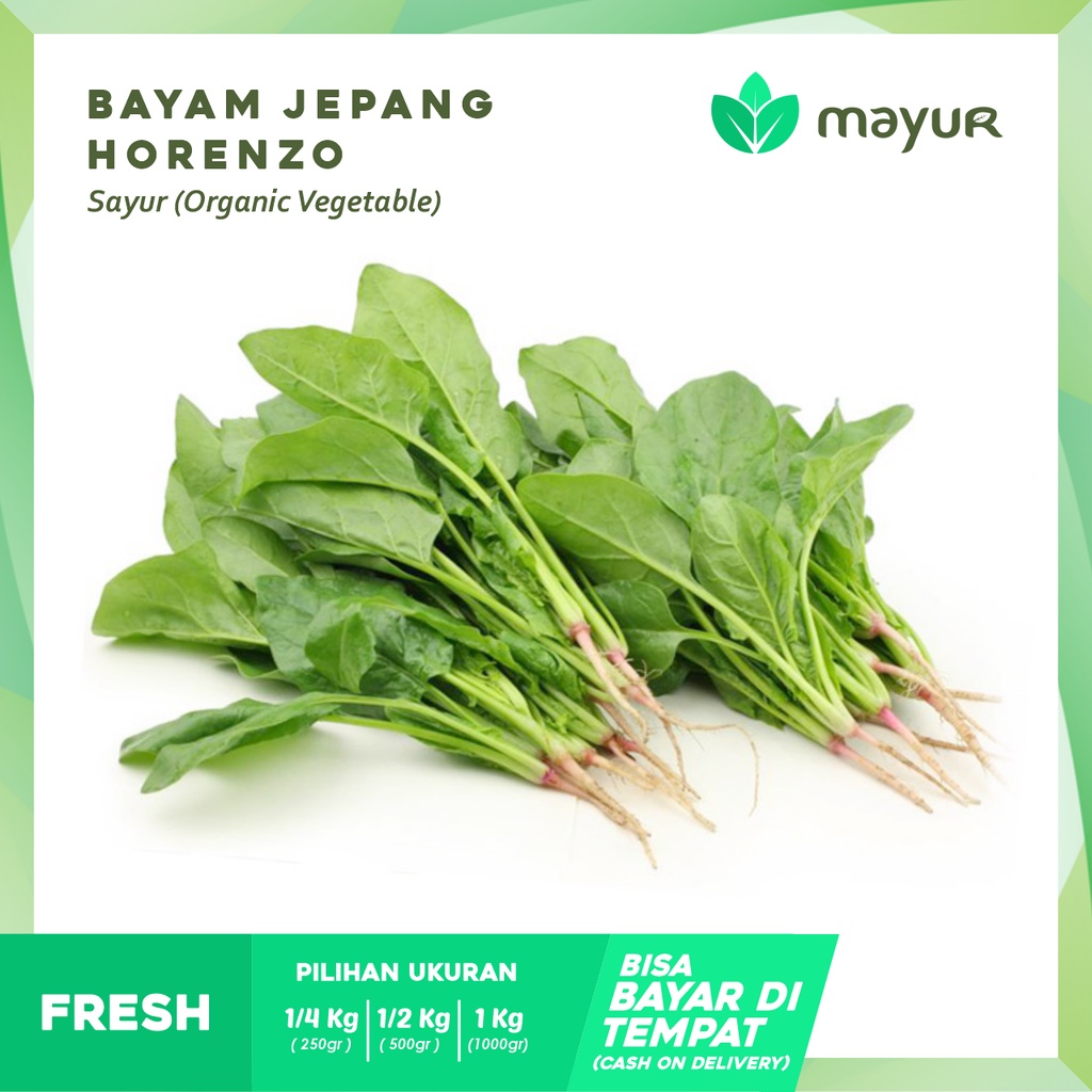 Bayam Jepang Horenzo ( 250gr | 500gr | 1kg )