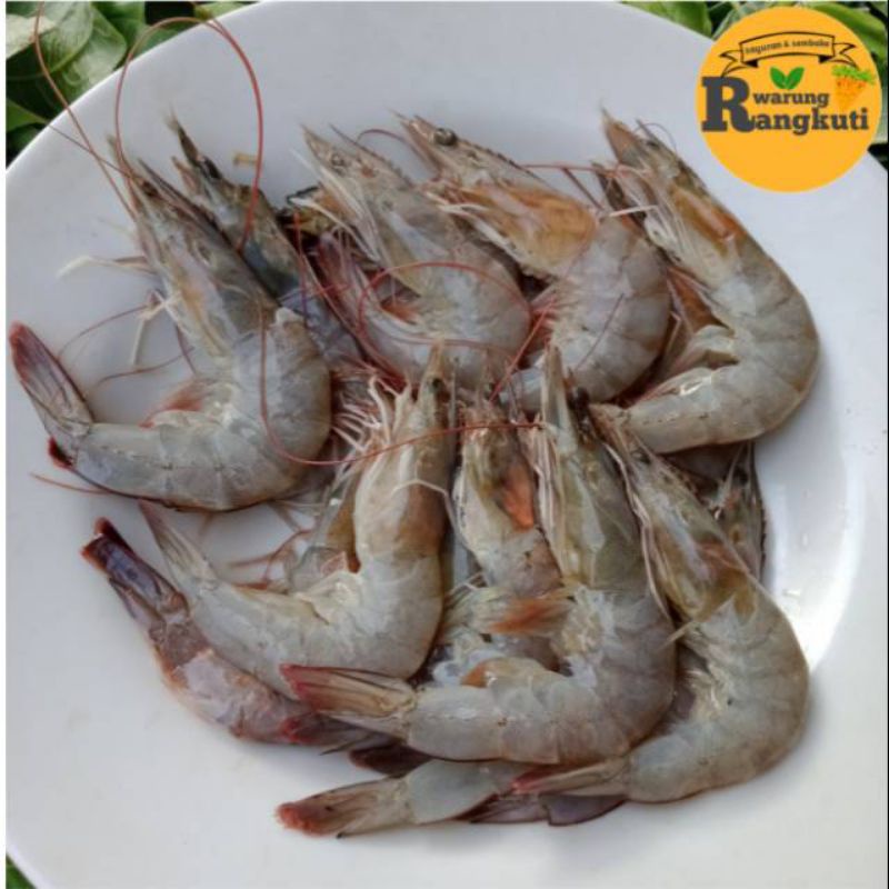 Udang Besar, Sedang dan Kecil Segar