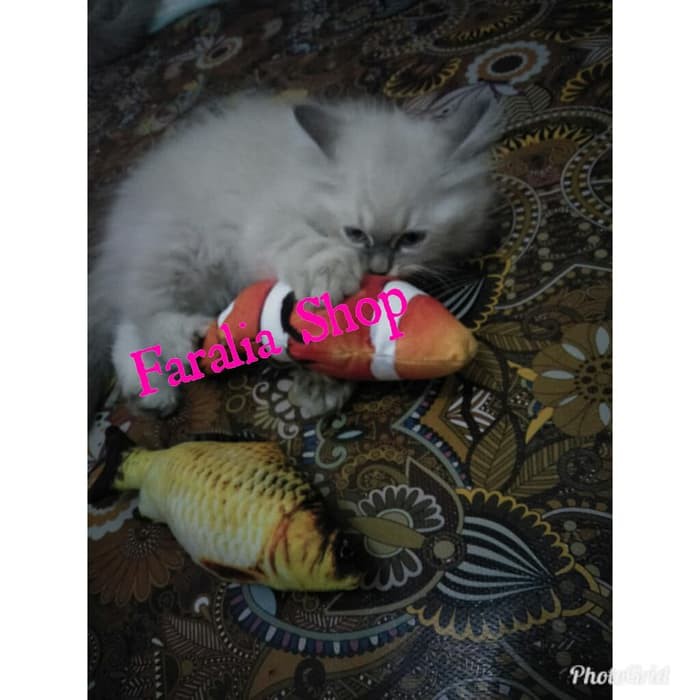 Mainan Untuk Kucing Boneka Ikan Catnip Catmint Bahan Plush Anjing Cat Nip Mint