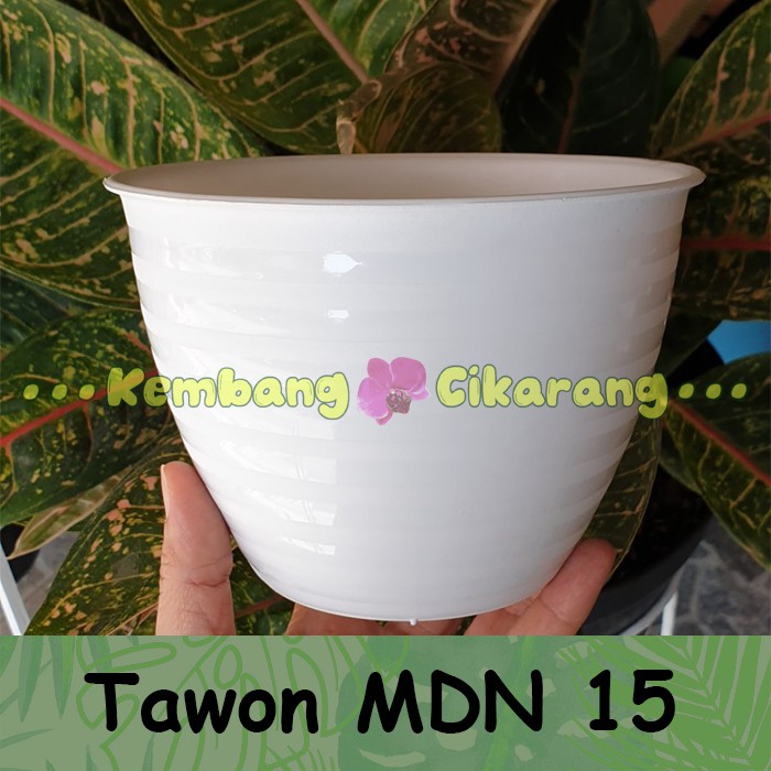 MDN TAWON 15 (15cm) pot bunga model tawon putih dan warna warni