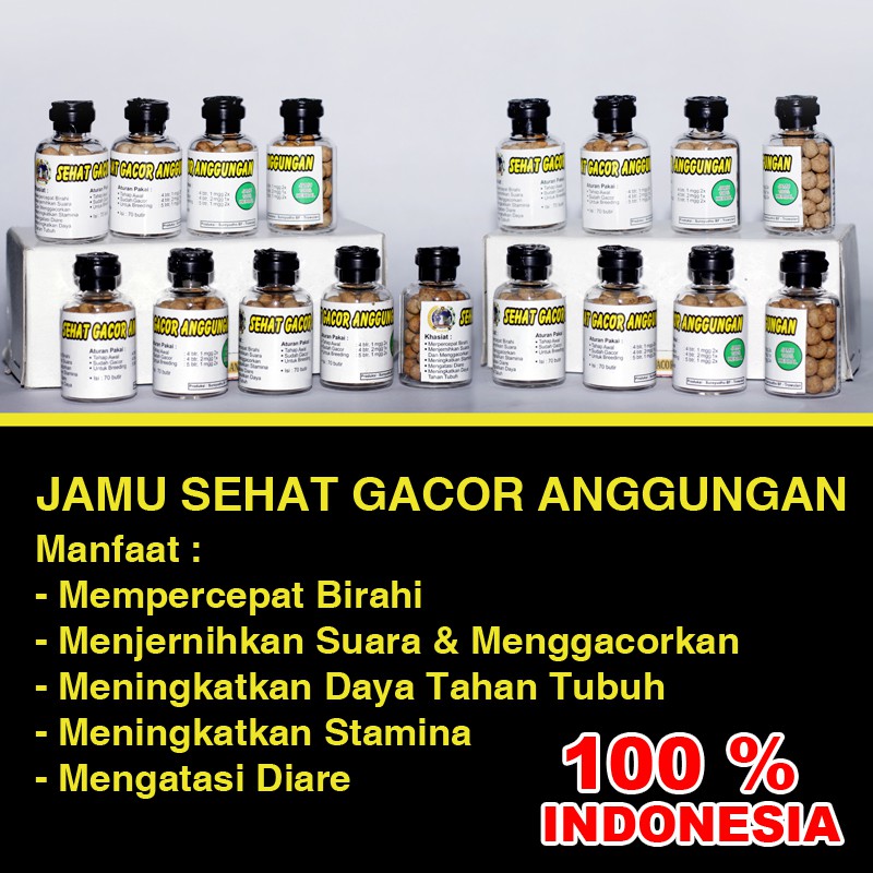 Jamu Perkutut Puter Sehat Gacor Anggungan Membuat Perkutut