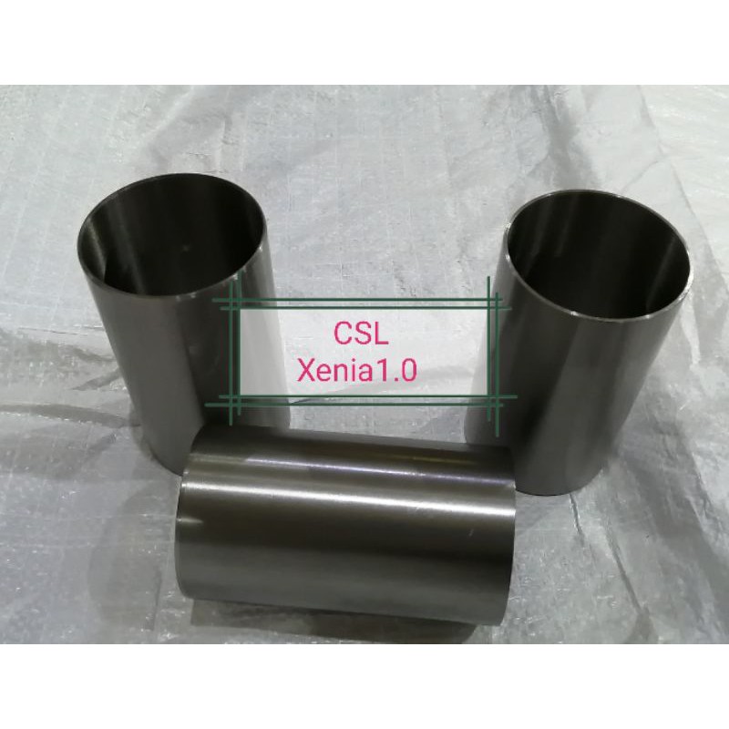 Liner xenia10 poring