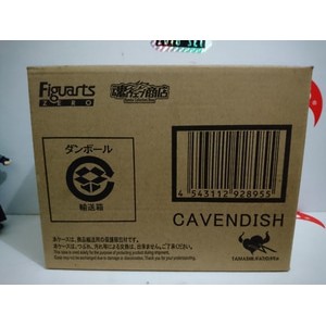 fzo cavendish MSIB Japver