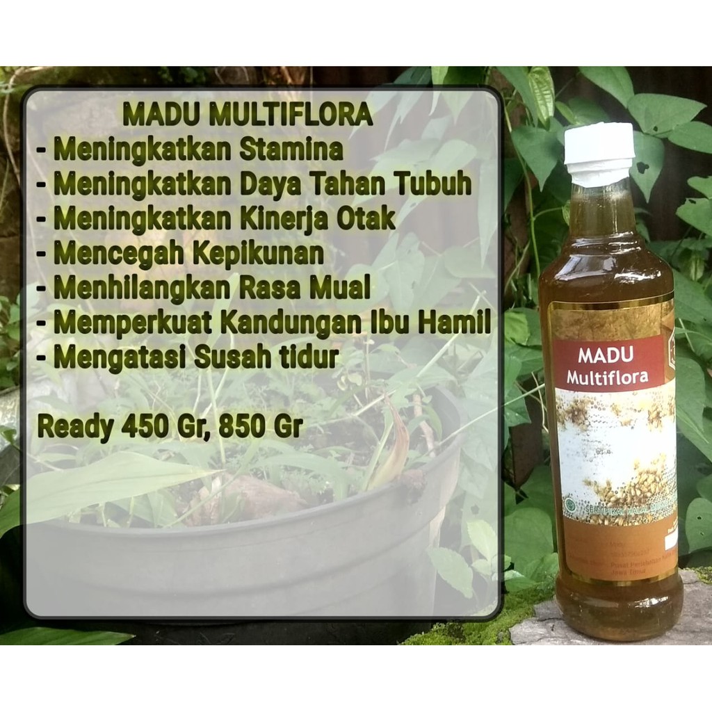 

Madu multiflora madu hutan murni organic raw madu 850gr