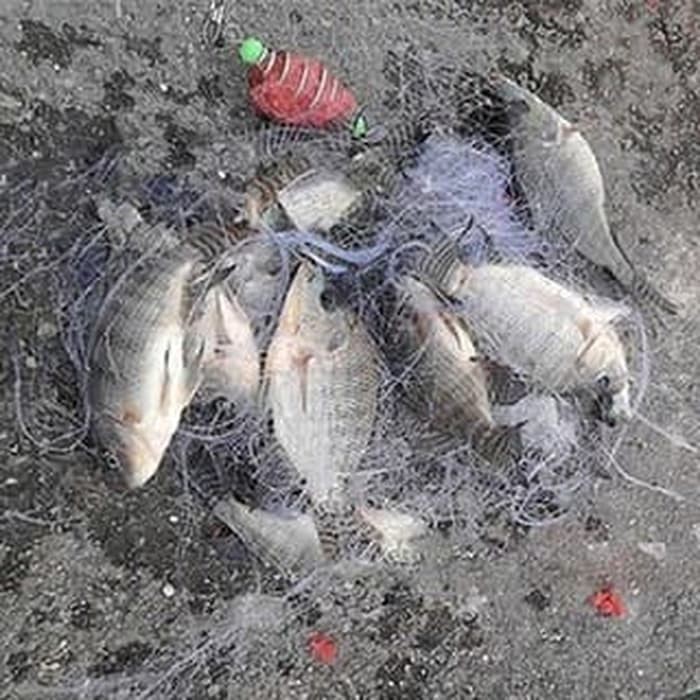 Pancing Jaring Net Bom Ukuran 3&quot; - Net Jaring Ikan Bom Ukuran 3&quot; Kail Umpan Mancing