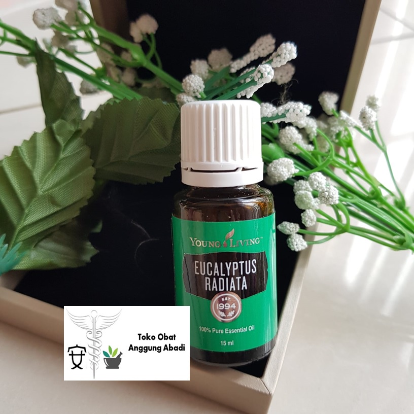 YL Young Living Minyak Esensial / Essential Oil Eucalyptus Radiata 15ML SEGEL