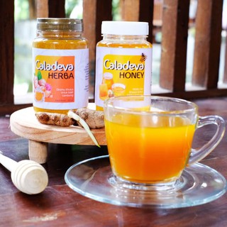 Obat Gerd Herbal