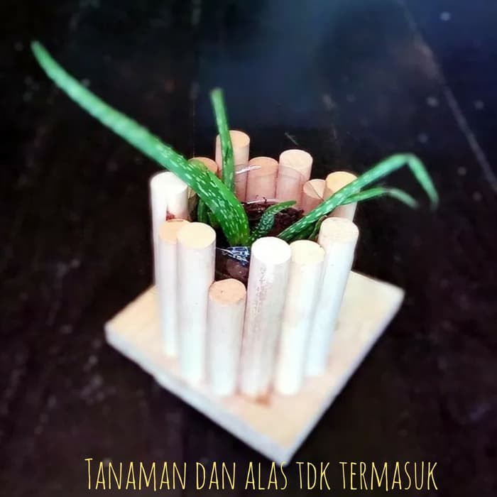 Pot Vas Bunga Kayu Mini Unik