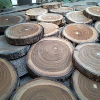 Wood slice potongan kayu jati  diameter 16 17 cm Shopee 