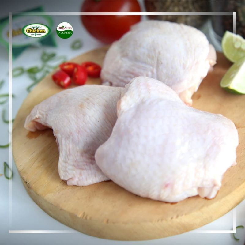 

Paha atas ayam organik berkah chicken, ayam probiotik, ayam berkah chicken