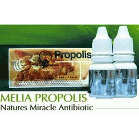 propolis melia nature