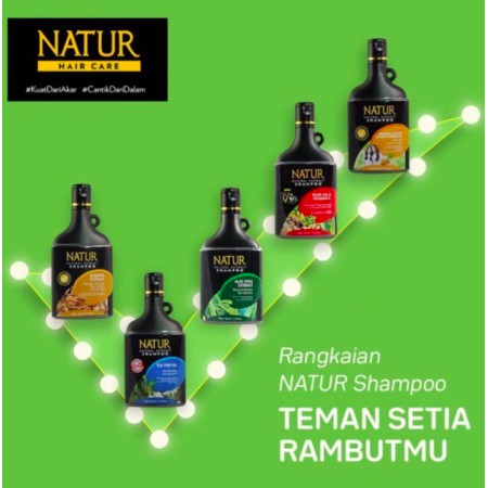 NATUR Shampoo | Ginseng Aloe Vera Moringa Olive Tea Tree Oil Sampo