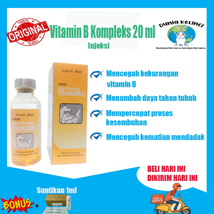 VITAMIN B KOMPLEKS 20 ML INJEKSI MENINGKATKAN PRODUKTIFITAS DAN SISTEM KEKEBALAN TUBUH HEWAN