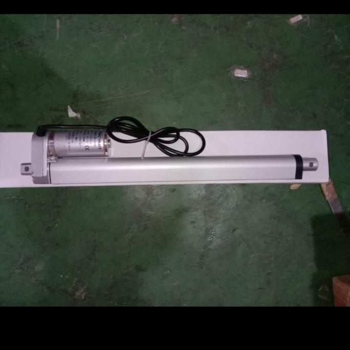 Motor Linear Actuator 300Mm 1000N 100Kg 12Vdc 12V Dc