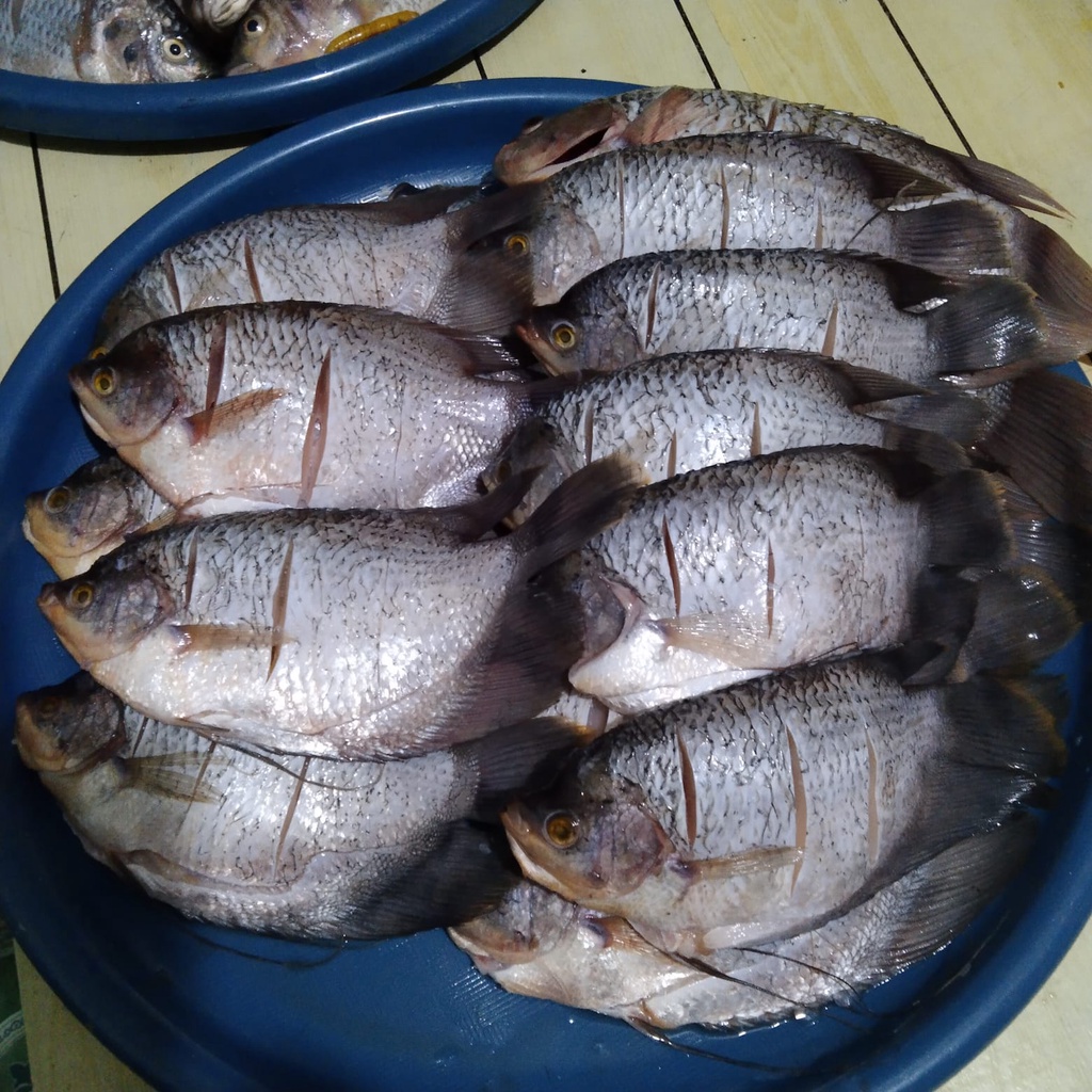 

Gurame Super Fresh (Beku)1kg