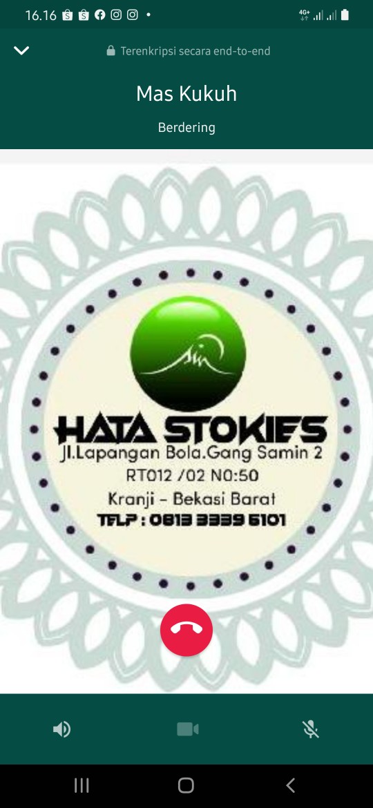 Onyx Kotak Penyimpanan / Vito Box Small Barbie Pearl Princess 5.2 L