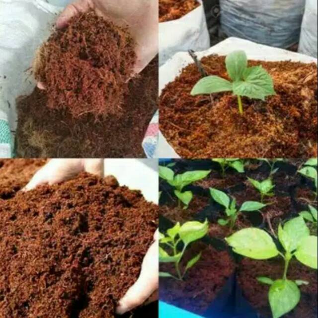 

Media Tanam Cocopeat Cocopit Cocopet 500gr