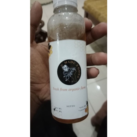 

madu Tetrigona apicalis 250 ml