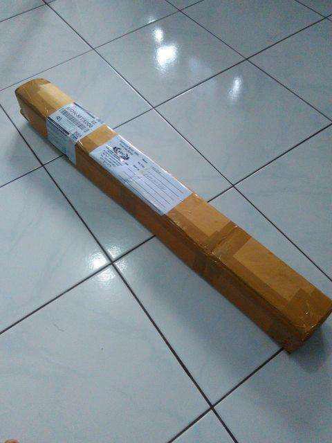 Bibit Nangka Madu Unggul