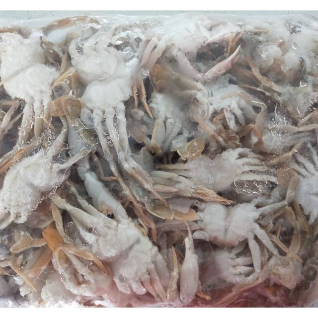 Baby crab mentah (Baby crab rajungan / Kepiting Kecil) Frozen