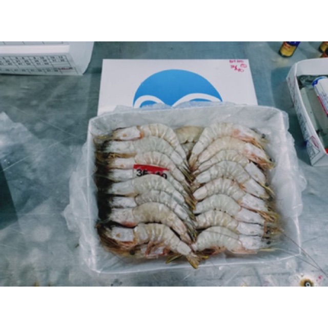 

Udang banana 120.000/kg