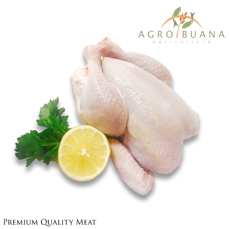 

[ FROZEN ] Ayam Utuh | Whole Chicken | Ayam Karkas