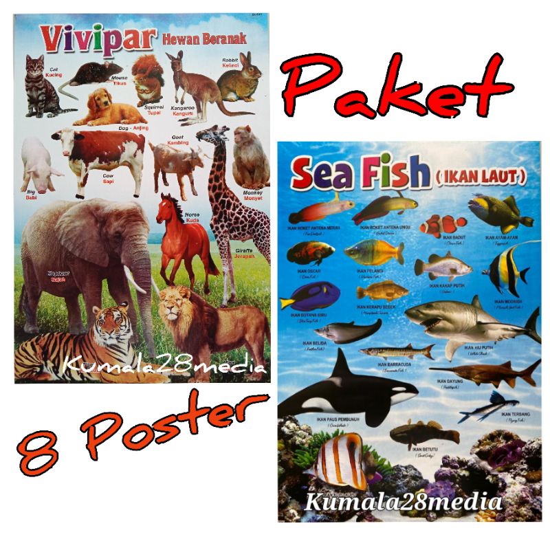 Poster Dinding Edukasi Anak Belajar Paket 8