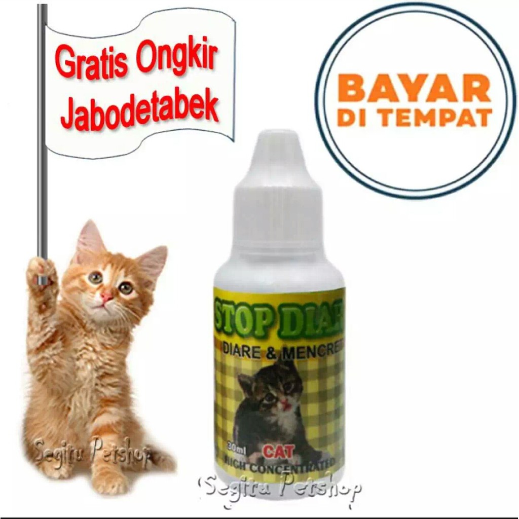 OBAT KUCING MENCRET STOP DIAR