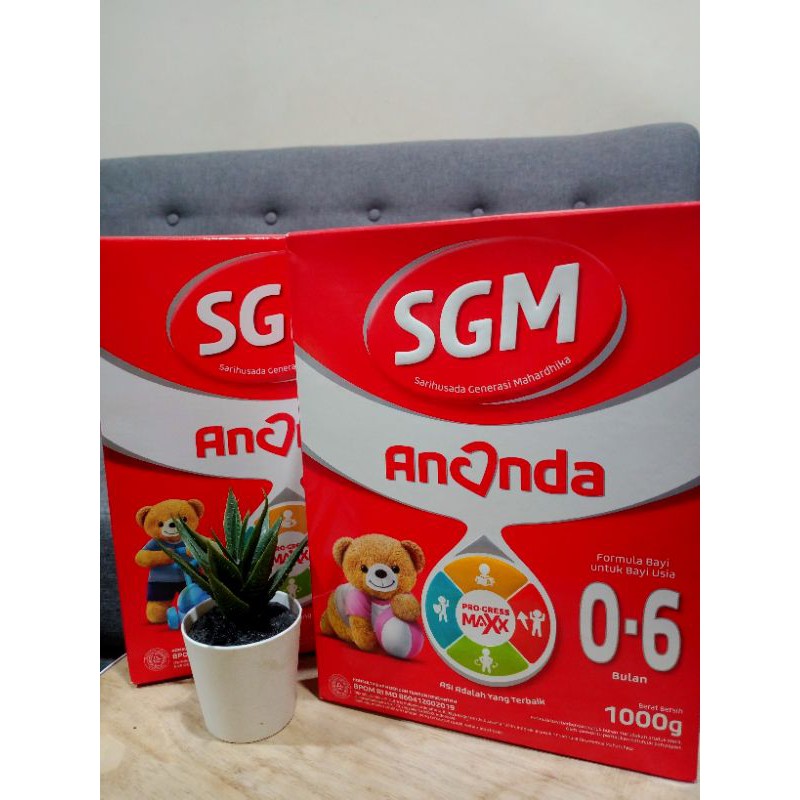 Susu SGM 0-6 Bulan 1000gr