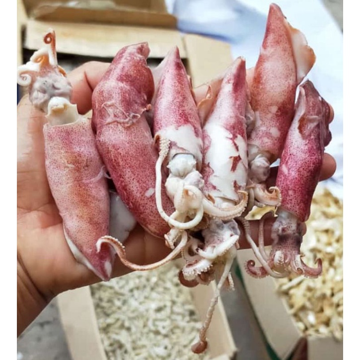 

CumiAsinBasah250gram