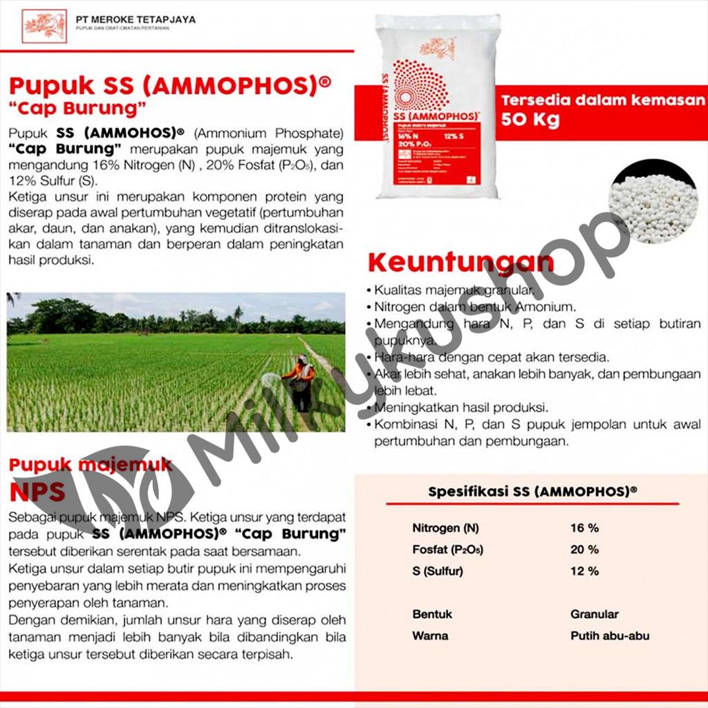 PUPUK MEROKE SS AMMOPHOS 50 KG KEMASAN PABRIK VIA CARGO