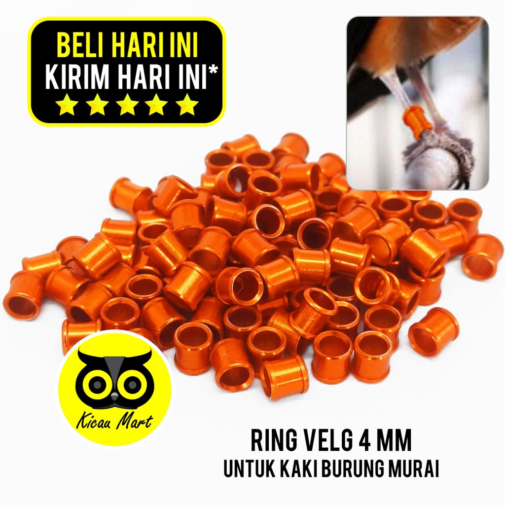 Ring Kaki Burung Murai 4 Mm Gelang Cincin Kaki Velg Alumunium Polos Ring Warna Tanpa Nama 4mm Penanda Kaki Burung Murai Batu Trotol