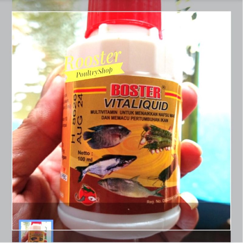 Boster Vitaliquid Vitalikuid 100 ml Vitamin Ikan Nila lele Gurame Bioflok
