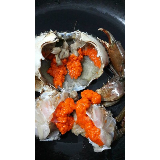 

kepiting telur